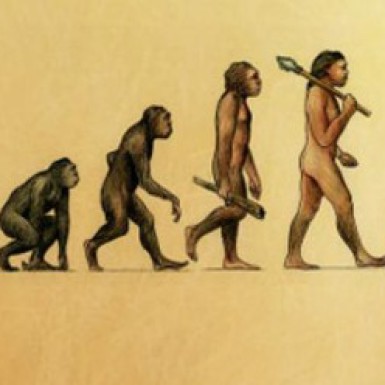 アーリンの進化論（加）の写真