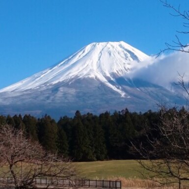 富士山（渡）の写真