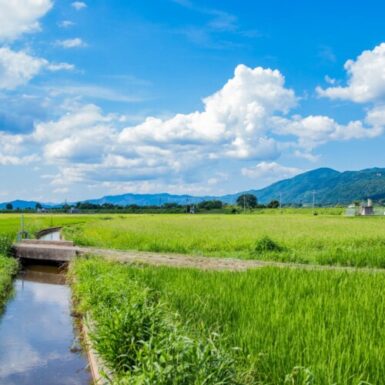 カンタービレ（加）の写真