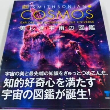 凄いや！渡辺先生！（目）の写真