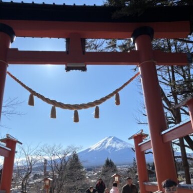 Seeing is Believing.（安）の写真