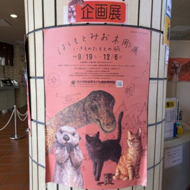 こびはく（加）の写真